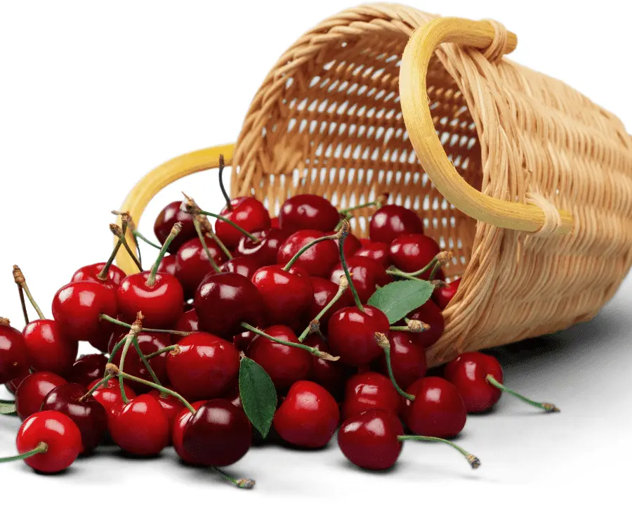 hunza cherries online | cherries in basket