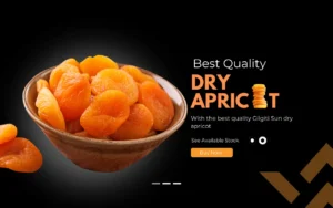 Dry Apricot / Dry Apricot Price in Pakistan